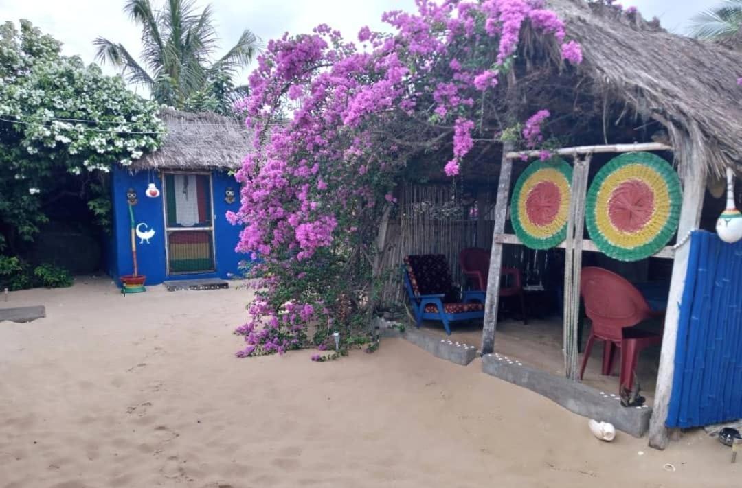 A&Y Wild Camp Ghana Keta Exterior photo